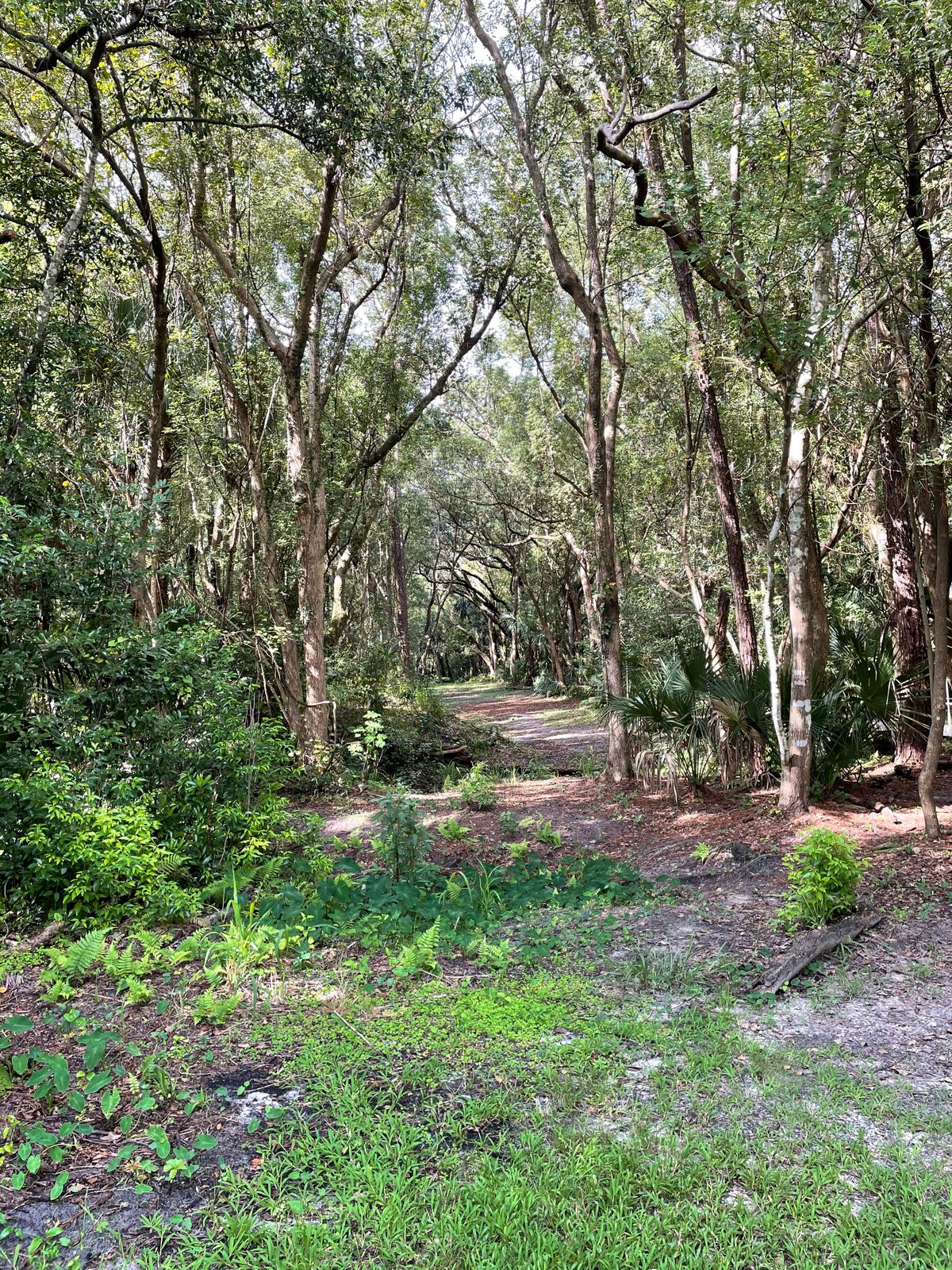 Hole 2 path