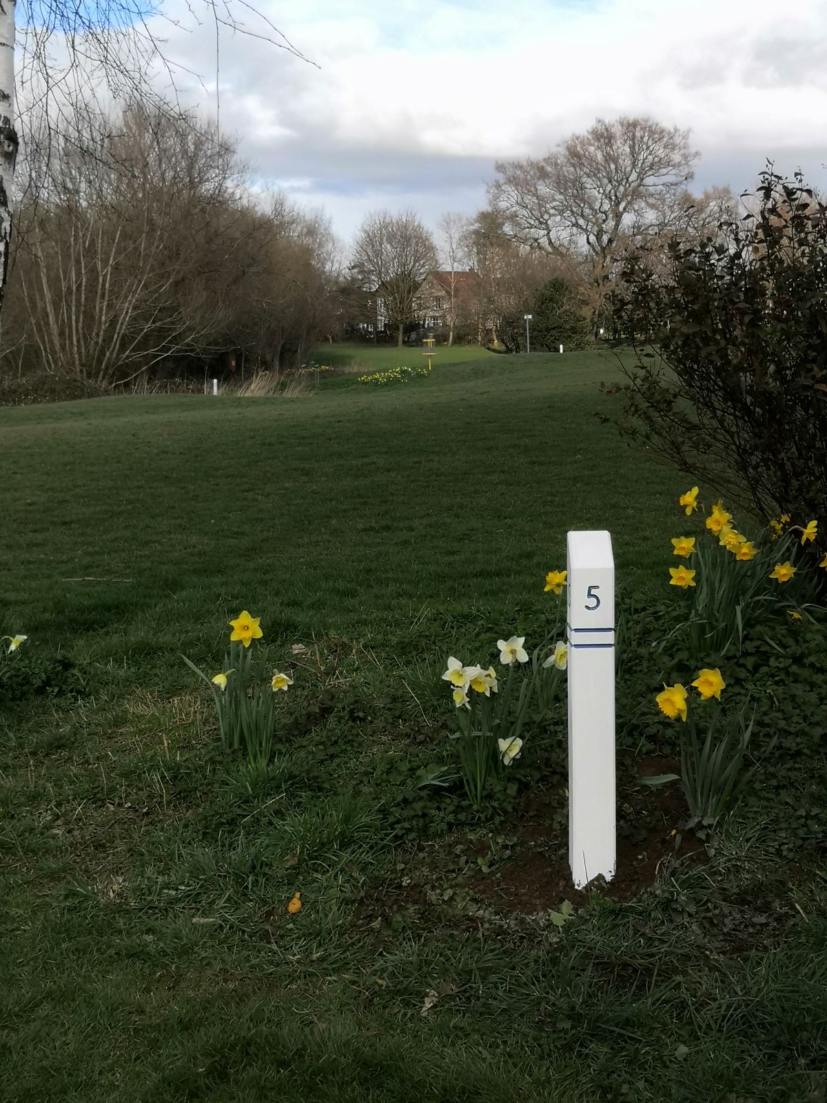 Mereside