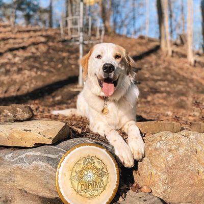@riley.goldenpyr