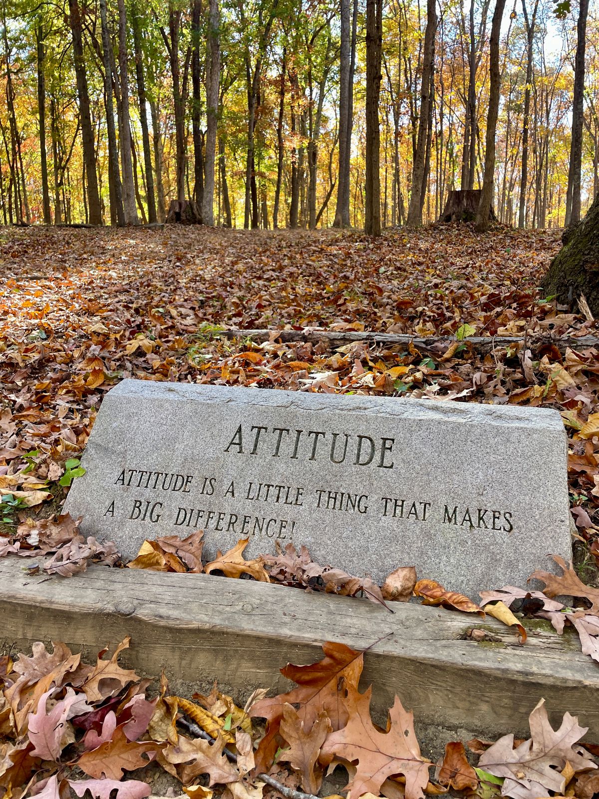A little inspiration on the course