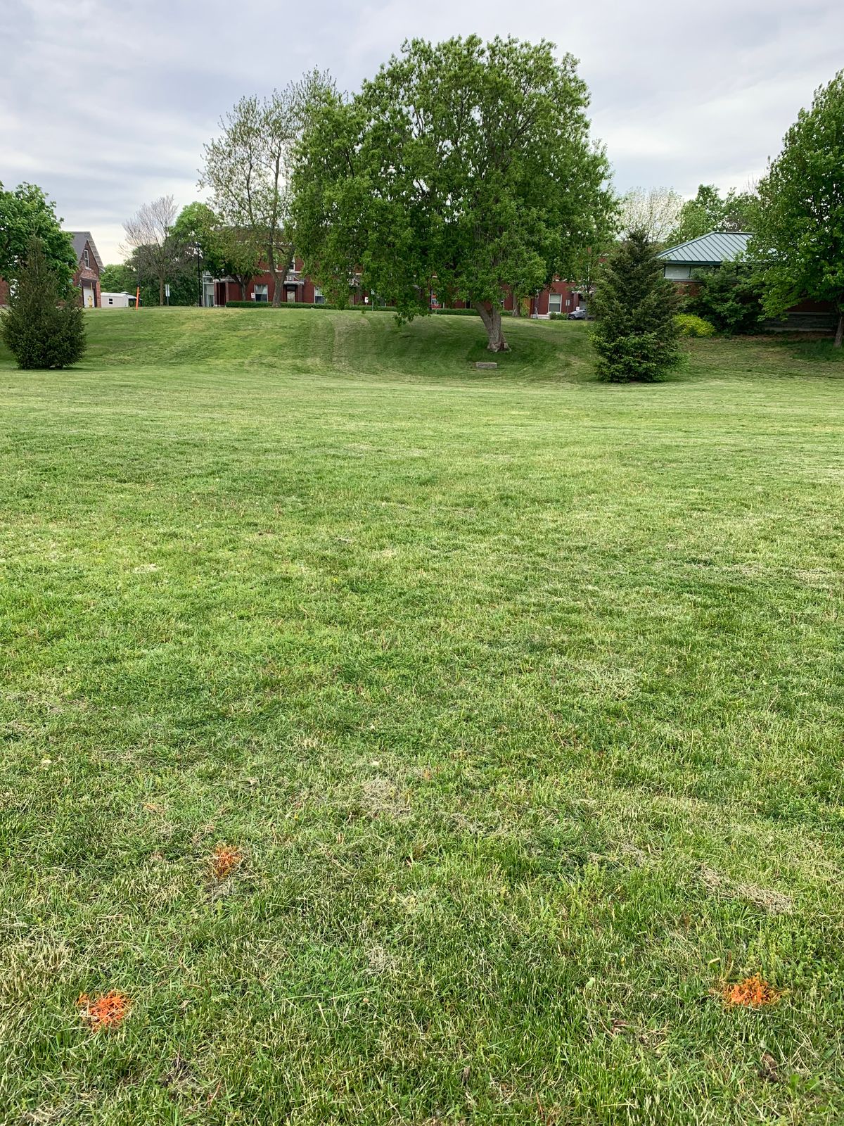 Hole 2 Red tee