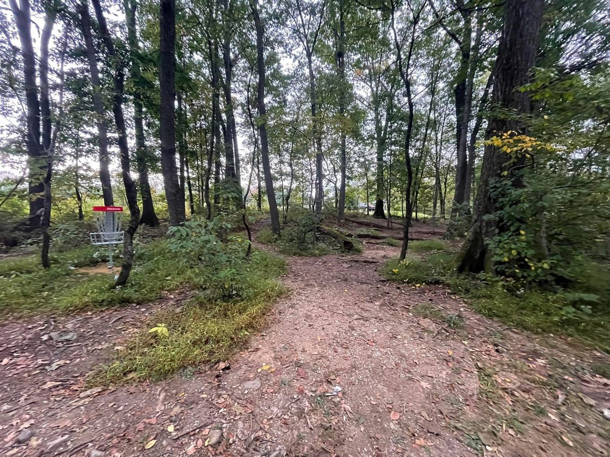Hole 12 short (red)