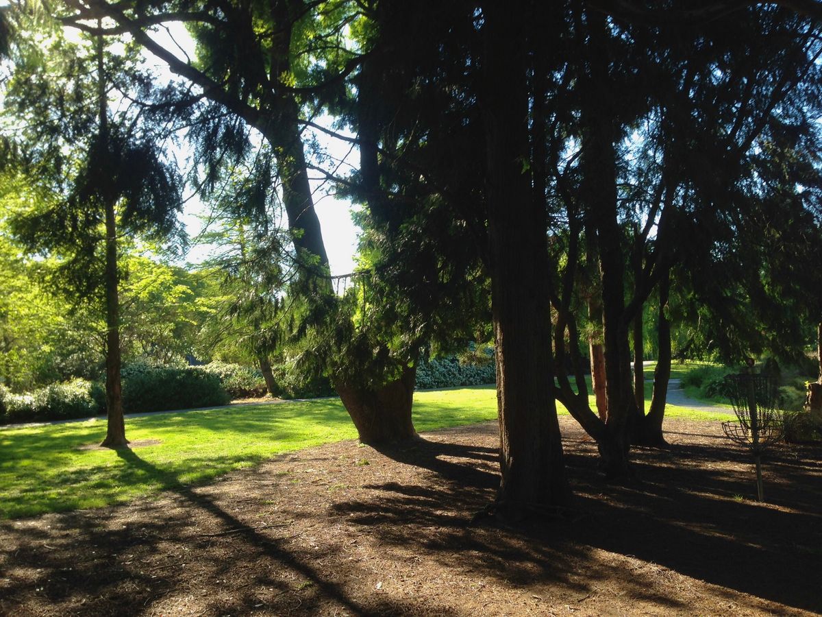 Hole 4