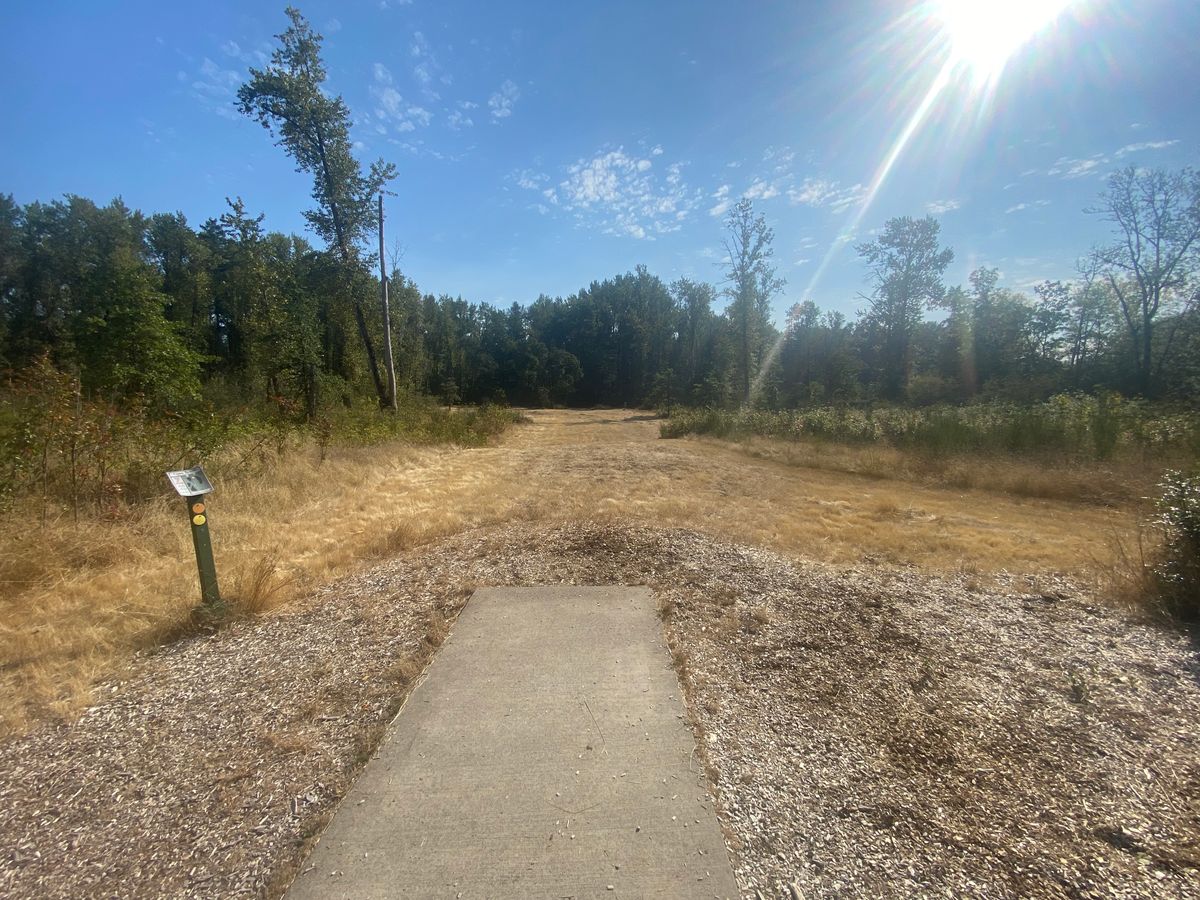 Tee pad 7 (short)