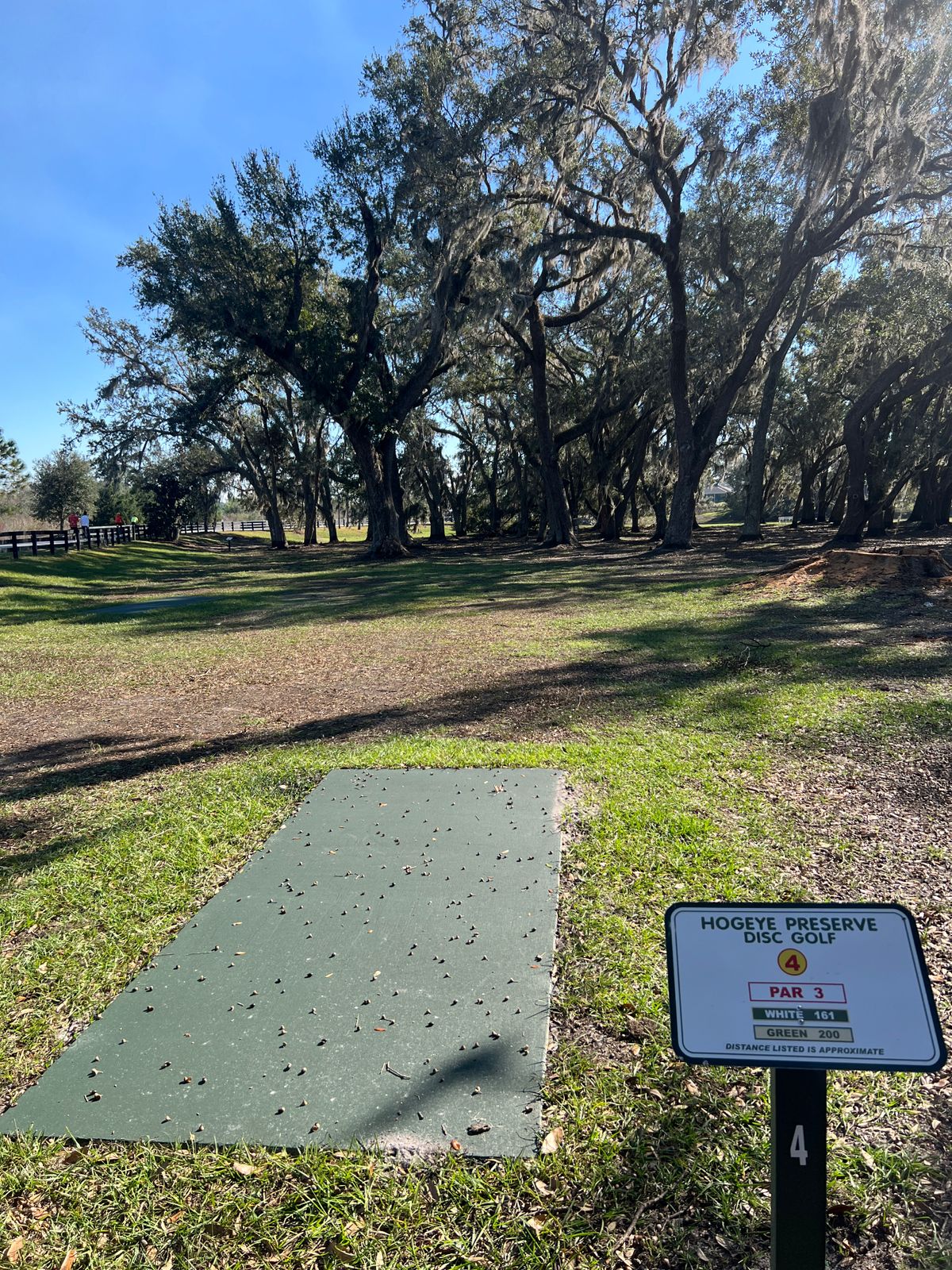 Hole 4 Green Tee