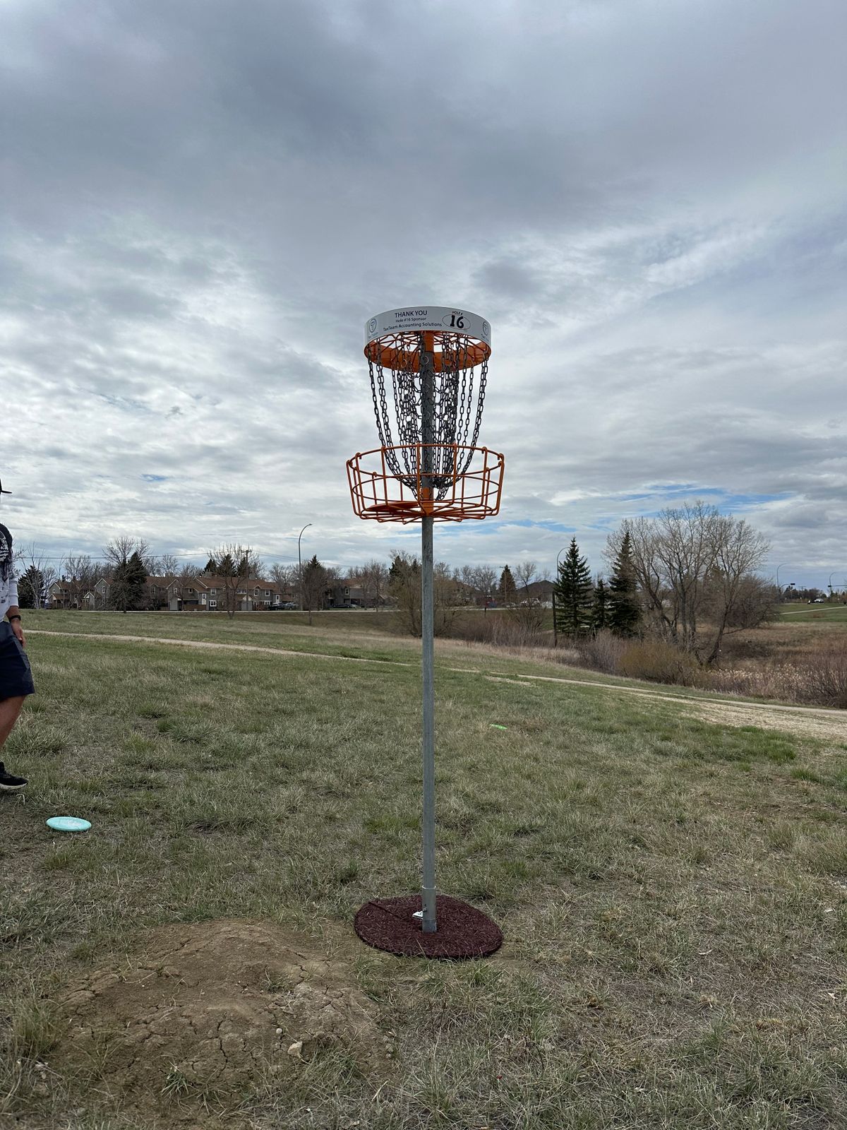 Hole 16 raised Basket