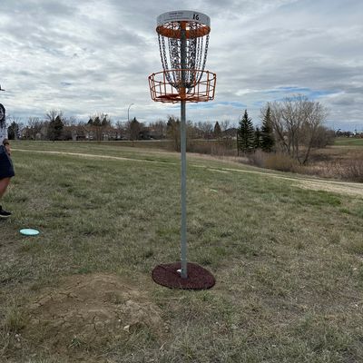 Hole 16 raised Basket