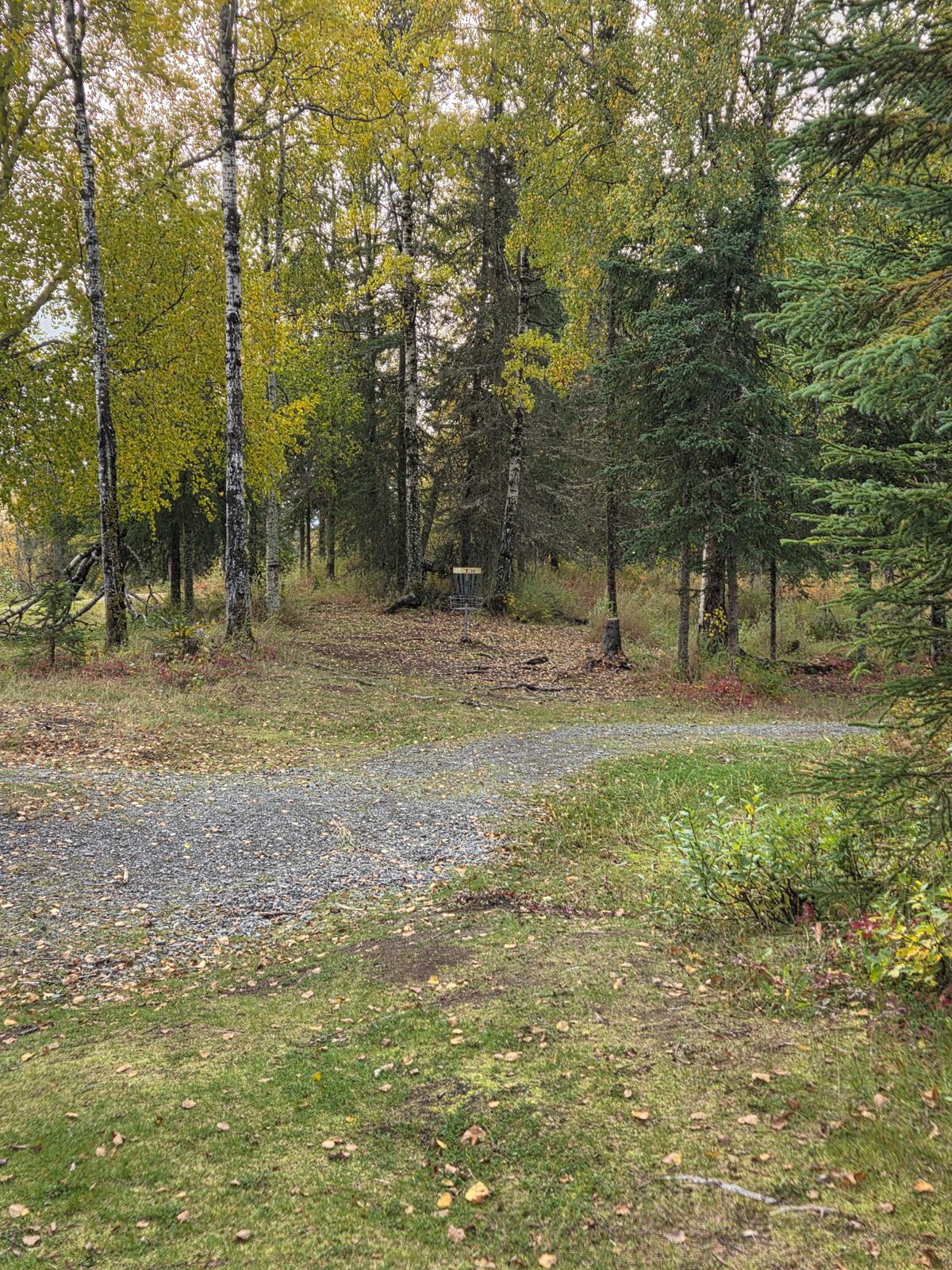 #16 fairway and basket