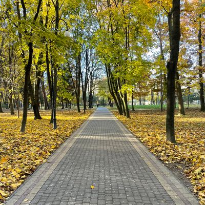 Walking path to 8