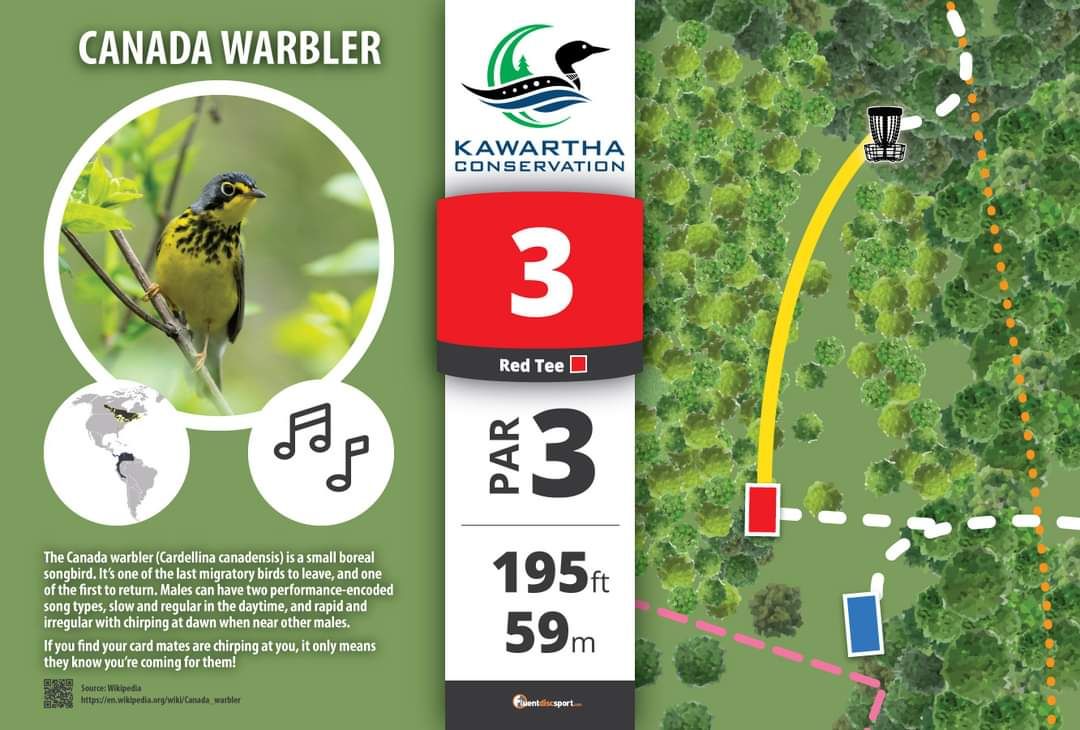 #3 tee sign