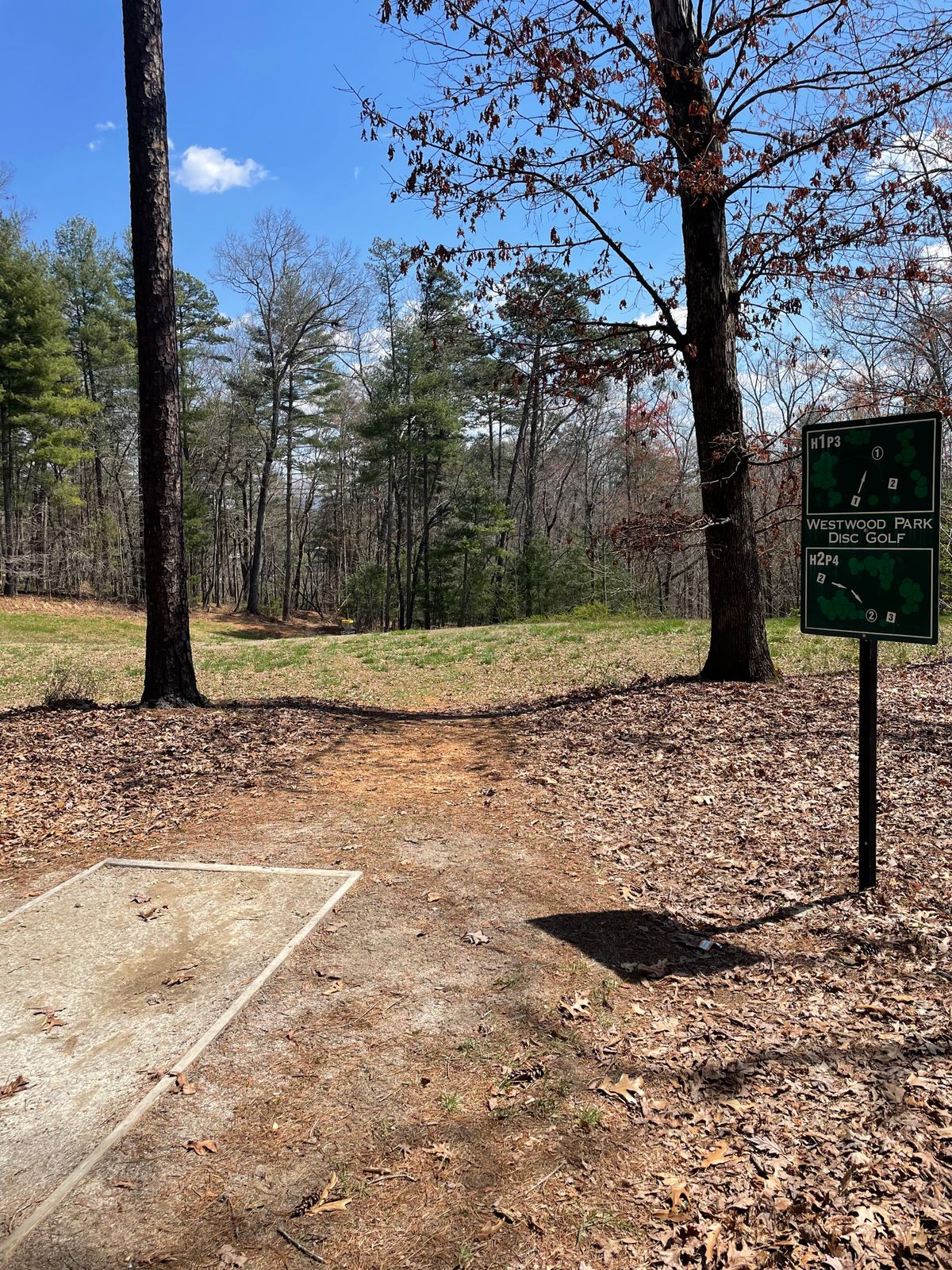 Hole 1 tee pad. Basket is down the hill to the right a little