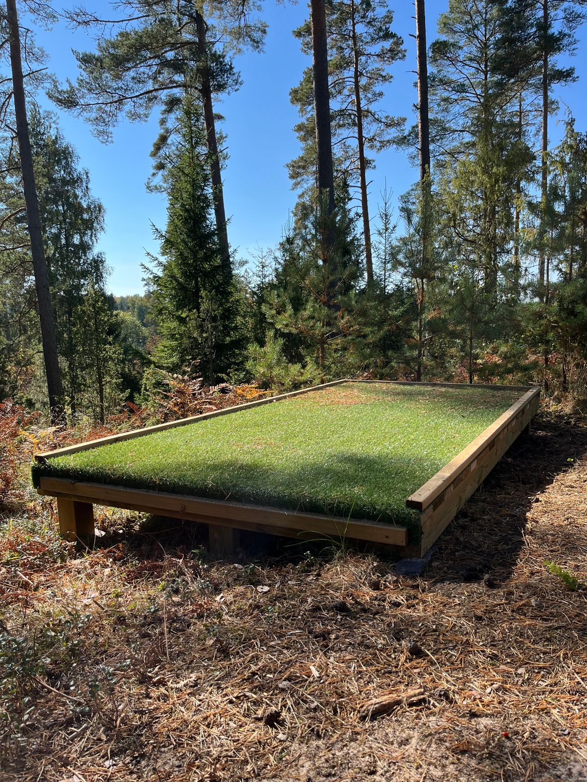 Hole 2 teebox 🥏