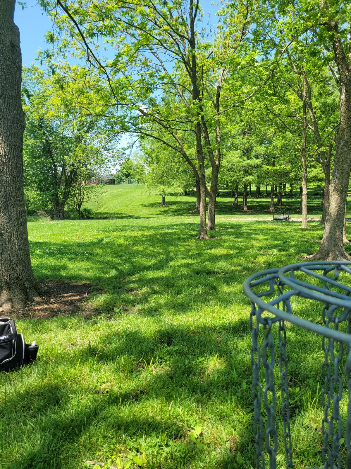 Hole 4 Basket to Tee