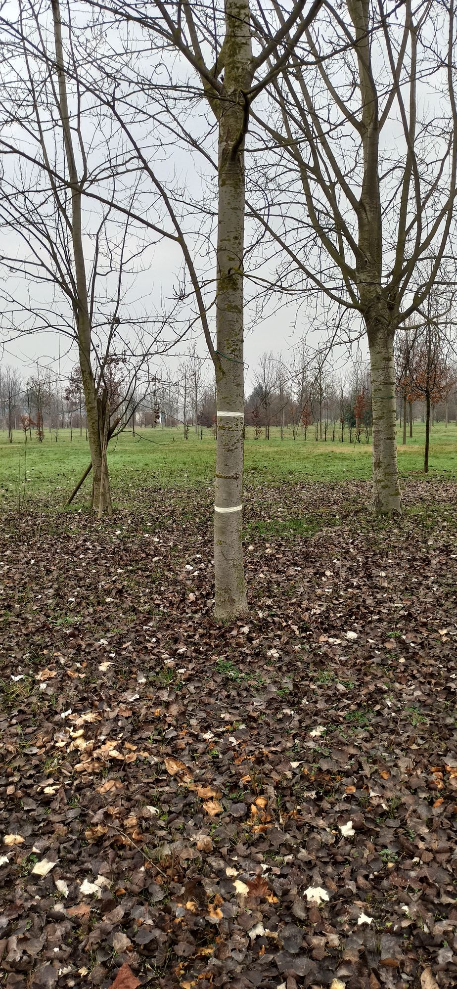 Hole 8 target