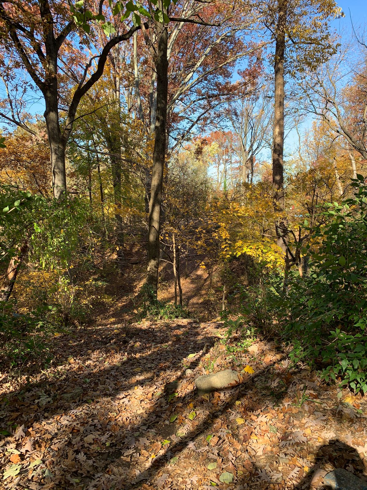 Hole 13