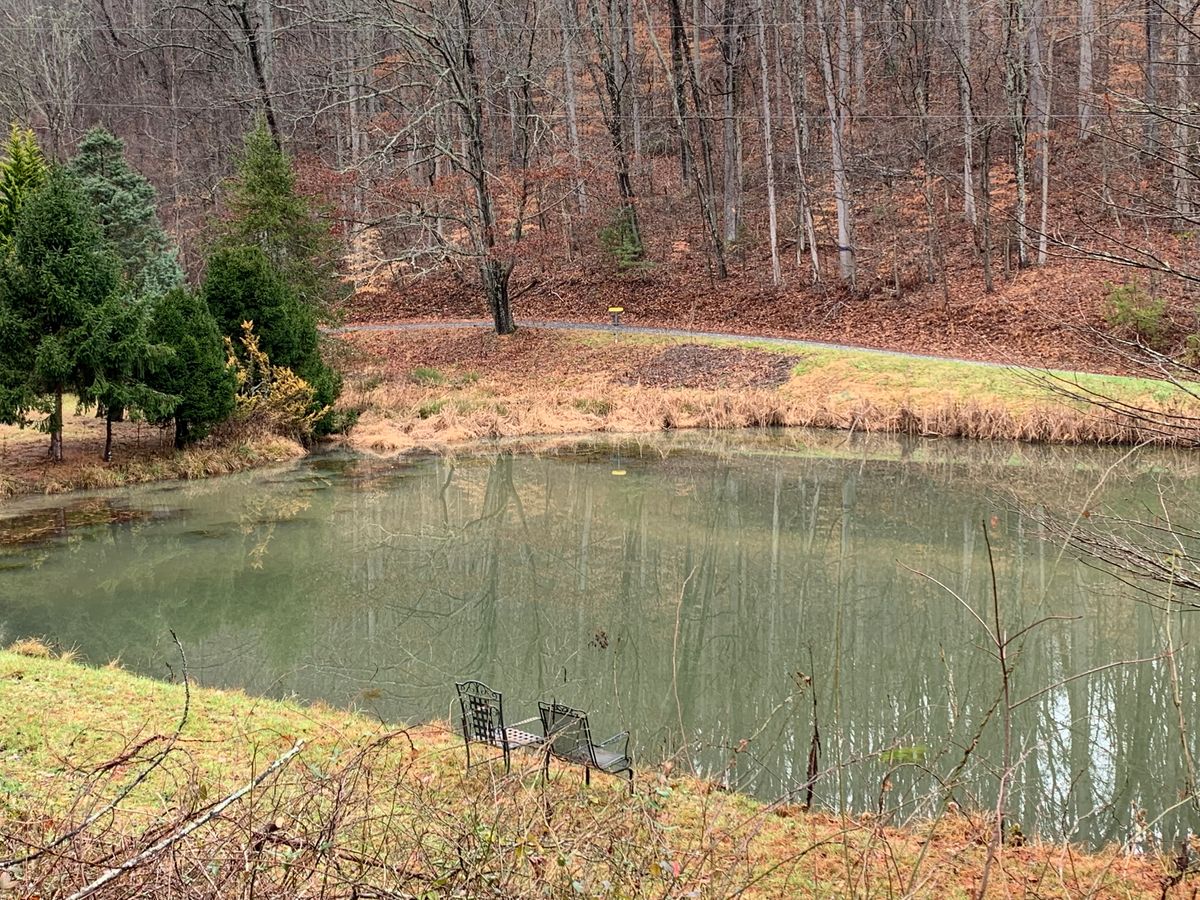 Standing on the tee of hole no. 5 looking across the pond to the basket.