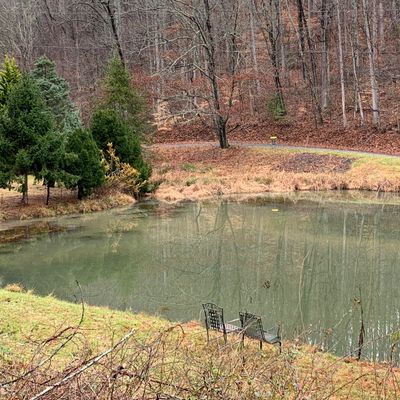 Standing on the tee of hole no. 5 looking across the pond to the basket.