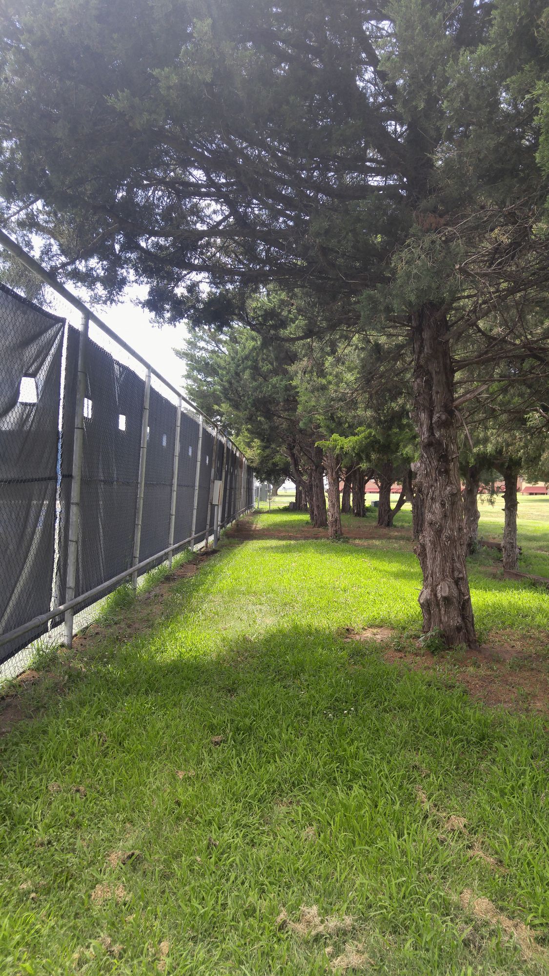 Hole 5 a pure nearly 180-200' tunnel that's 12 feet wide and a ceiling of 8-10' feet. Mando tunnel. No Hyzers/Thumbers for tennis safety