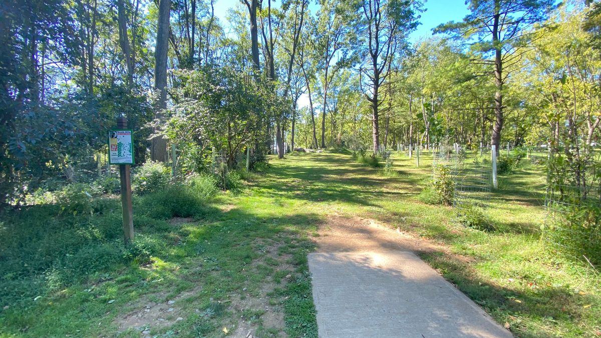 Hole 9