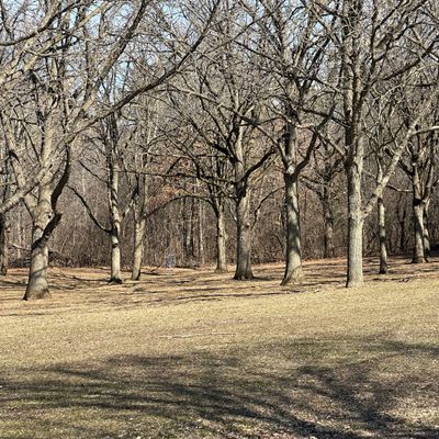 Hole 1 short