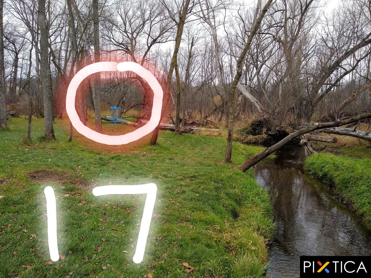 17