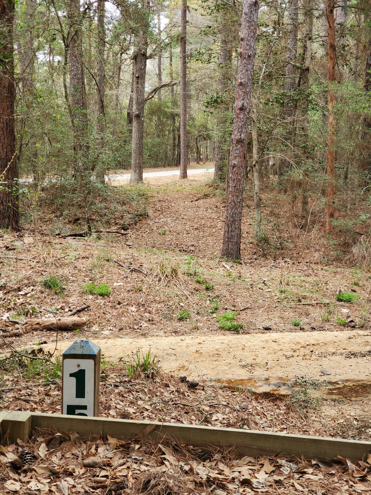 Hole 15 blue tee