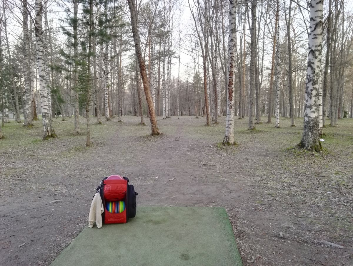 #6 keväällä