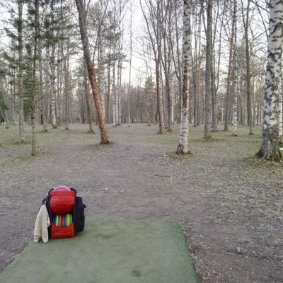#6 keväällä