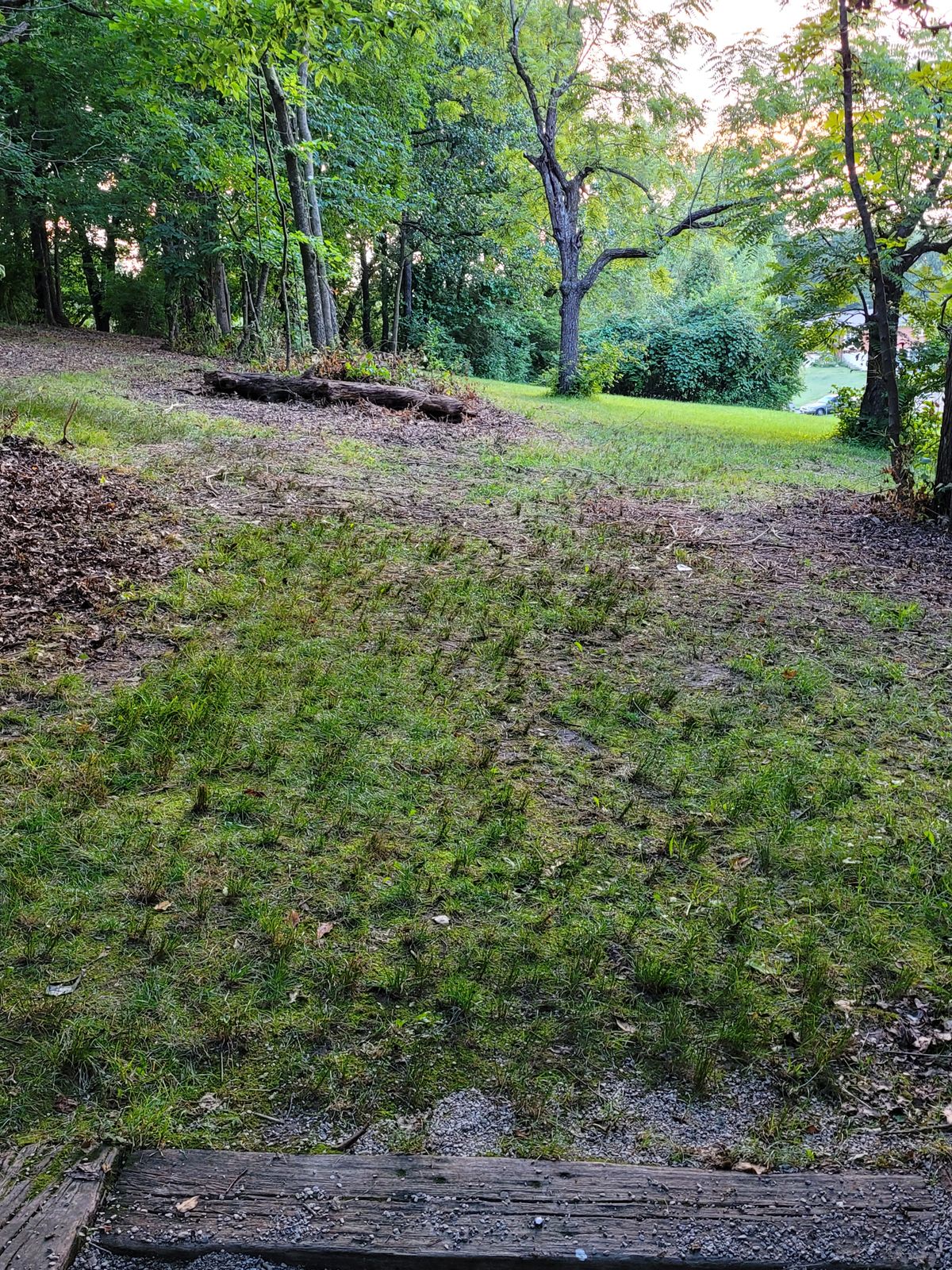 Hole 10
Pin position up and left through trees on left.
There is a forehand and backhand gaps.