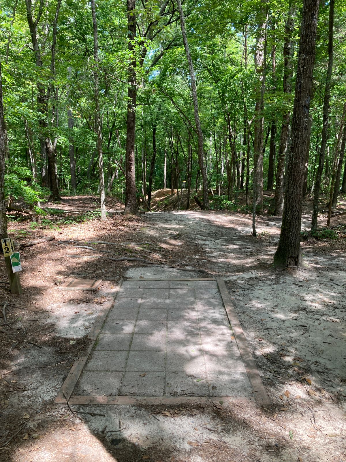 Hole 12 - large ravine spans the length of the fairway