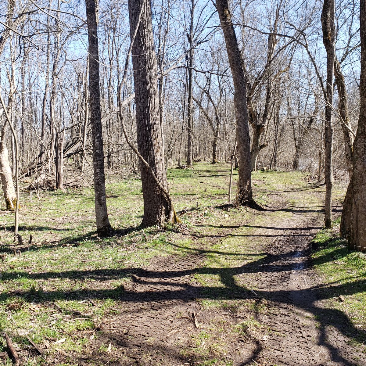 Hole 12 fairway