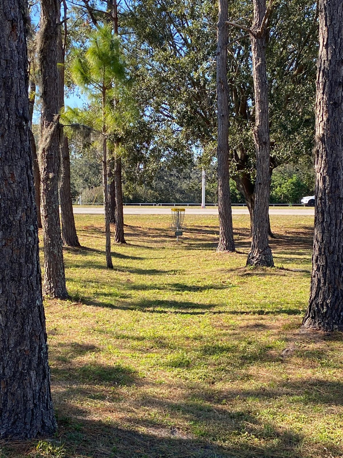 Hole 12 basket.
