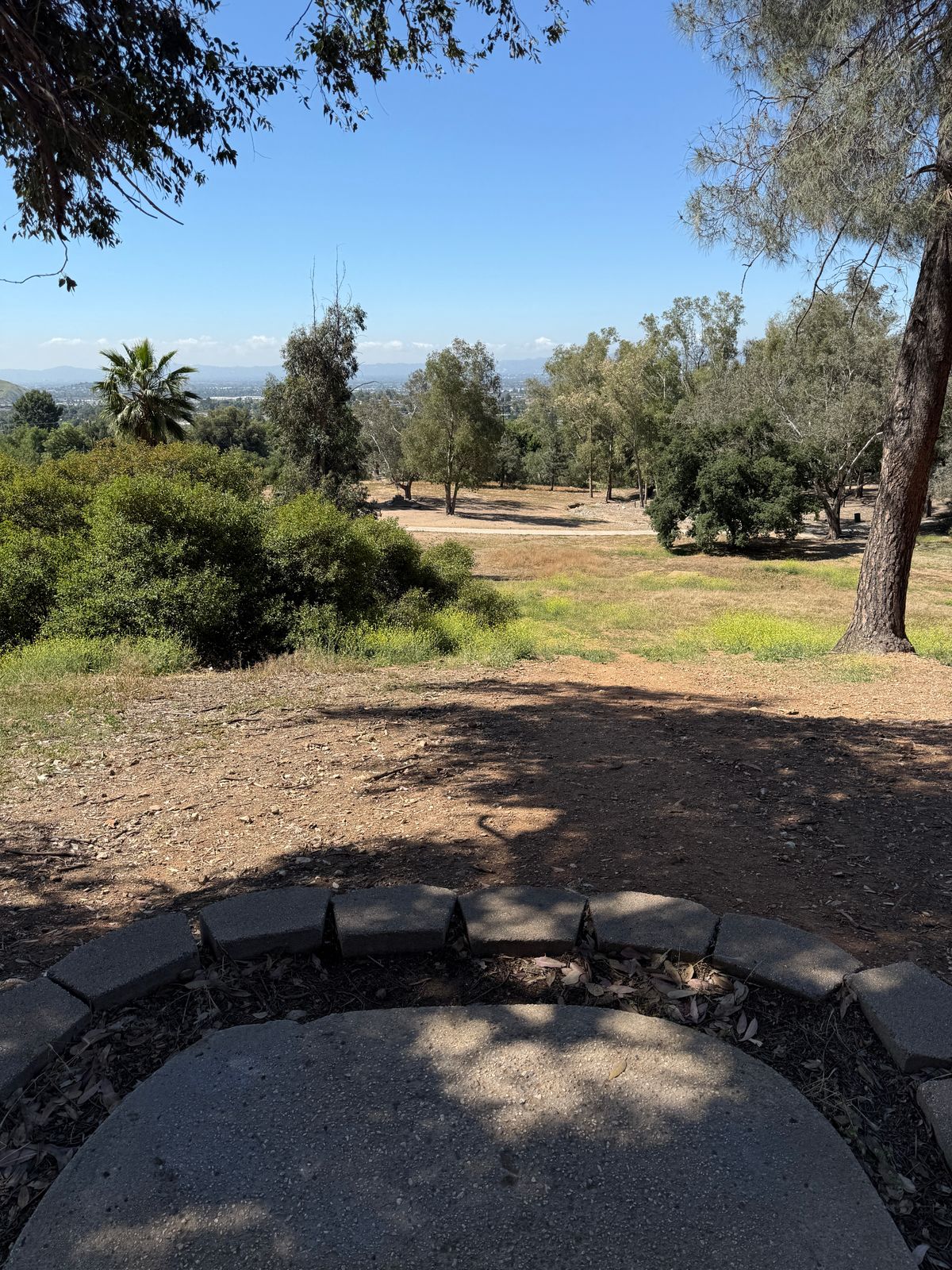 Hole 11 tee
