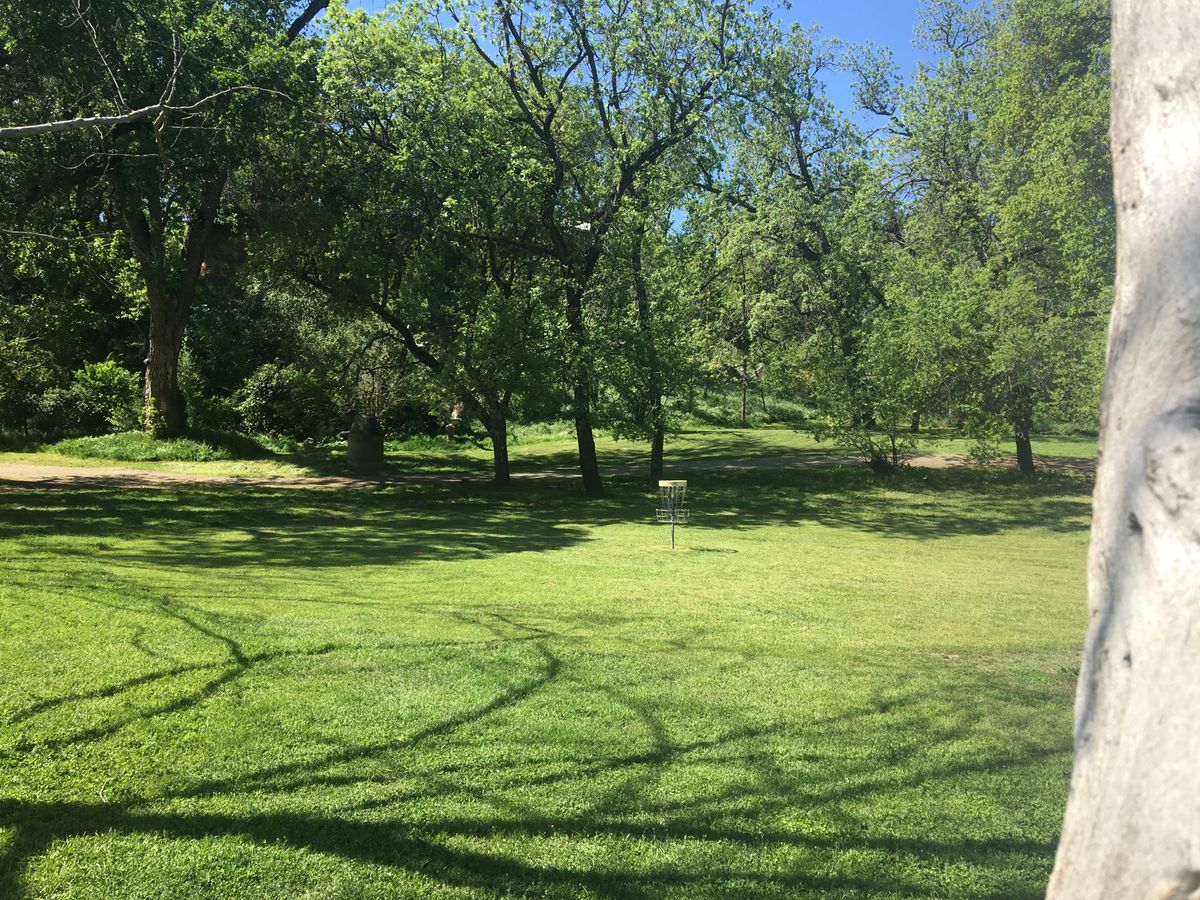 Perfectly mowed greens.