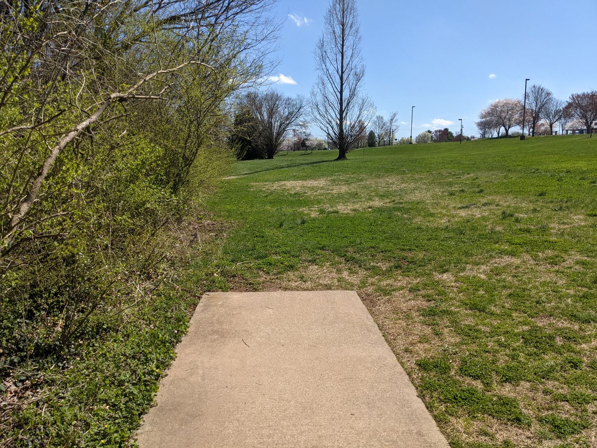The longest and most difficult hole on the course, hole 11 is a tough par 3 that requires length and accuracy off the tee.  A wide hyzer for the right handed player or a flexing forehand both give the possibility of a challenging put.  Both are difficult shots with their own challenges.  The pin is on the edge of a slope and anything long is punished.