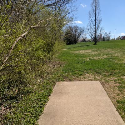 The longest and most difficult hole on the course, hole 11 is a tough par 3 that requires length and accuracy off the tee.  A wide hyzer for the right handed player or a flexing forehand both give the possibility of a challenging put.  Both are difficult shots with their own challenges.  The pin is on the edge of a slope and anything long is punished.