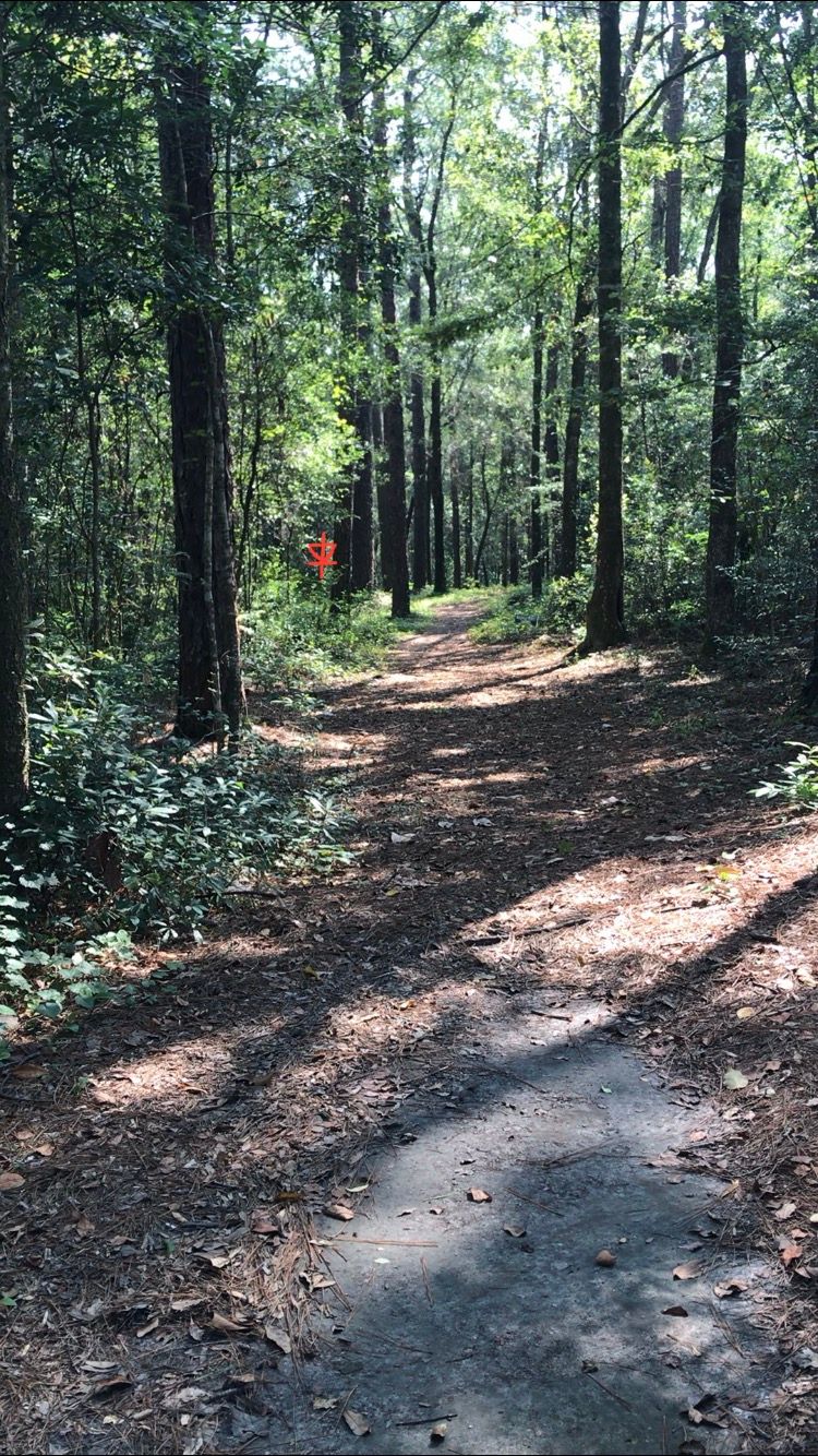Hole 10: Straight, then dogleg left