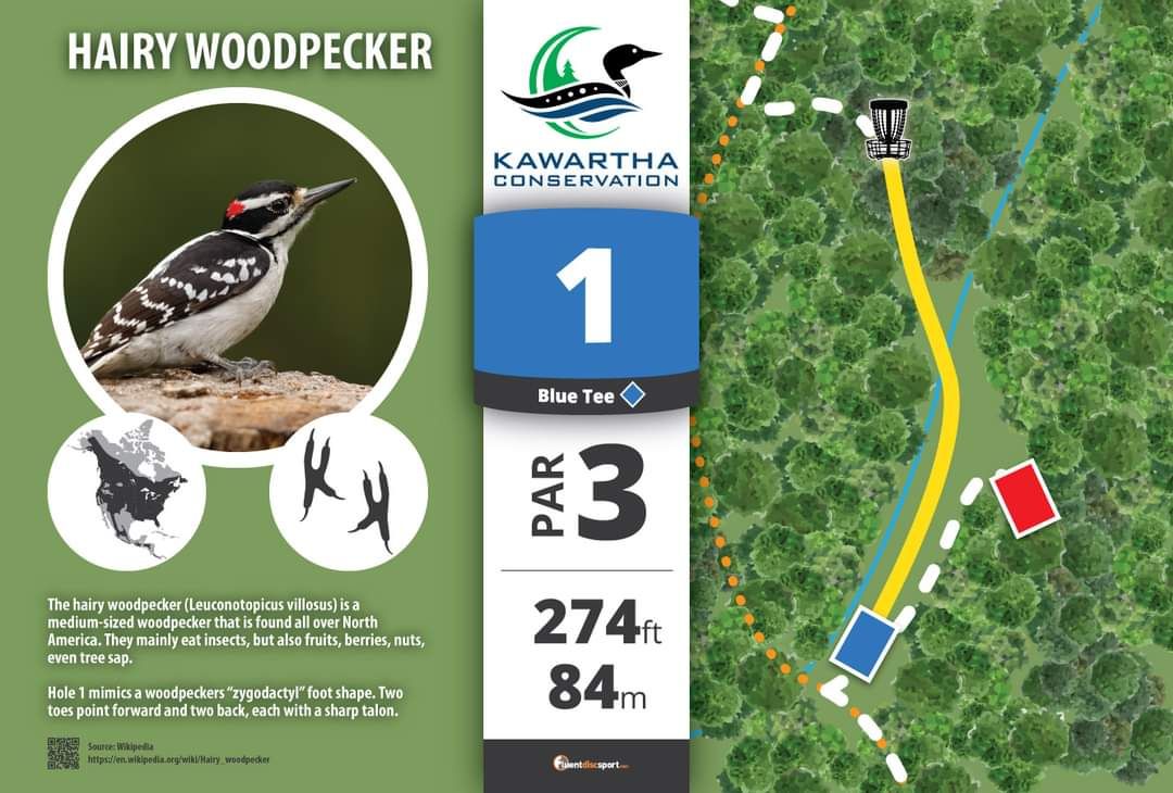 #1 Tee Sign