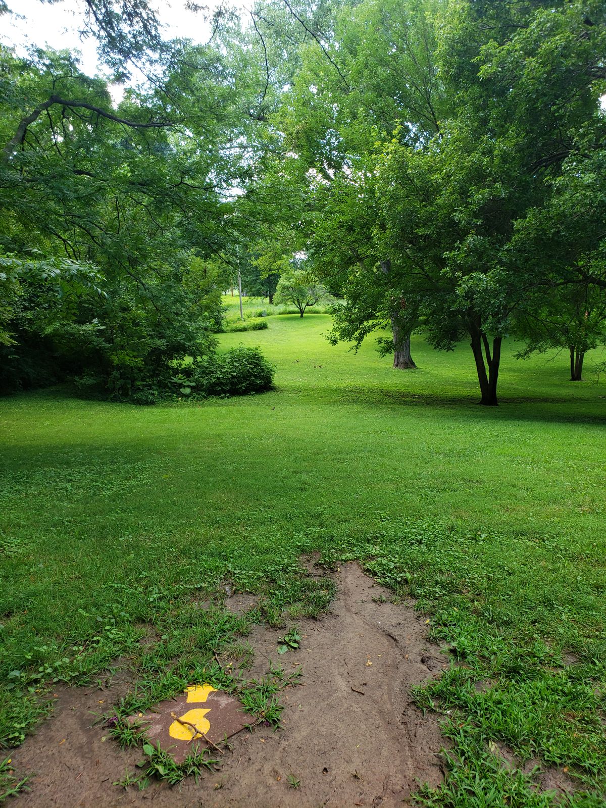 Hole 6 tee pad