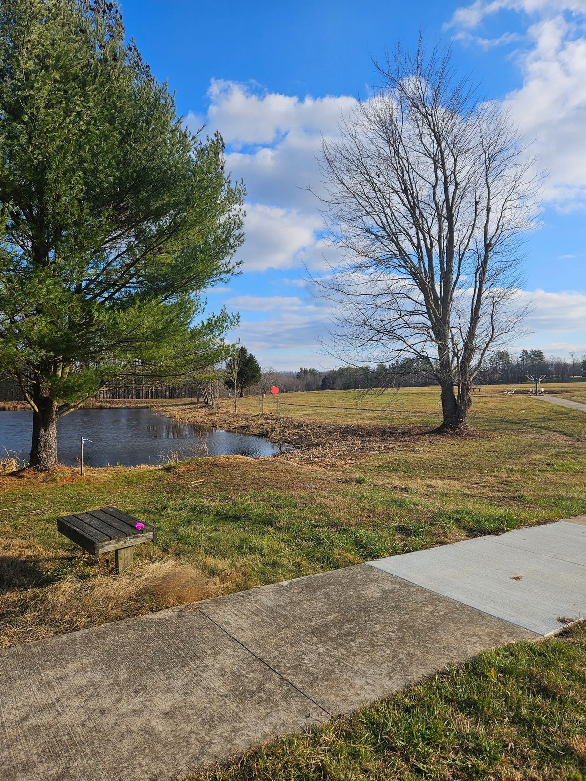 Hole 7