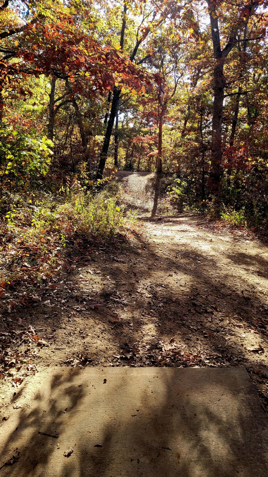 Hole 7