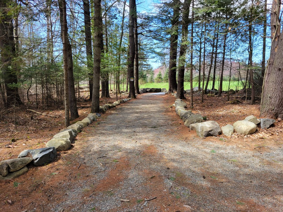 Path from Hole Green to next tee