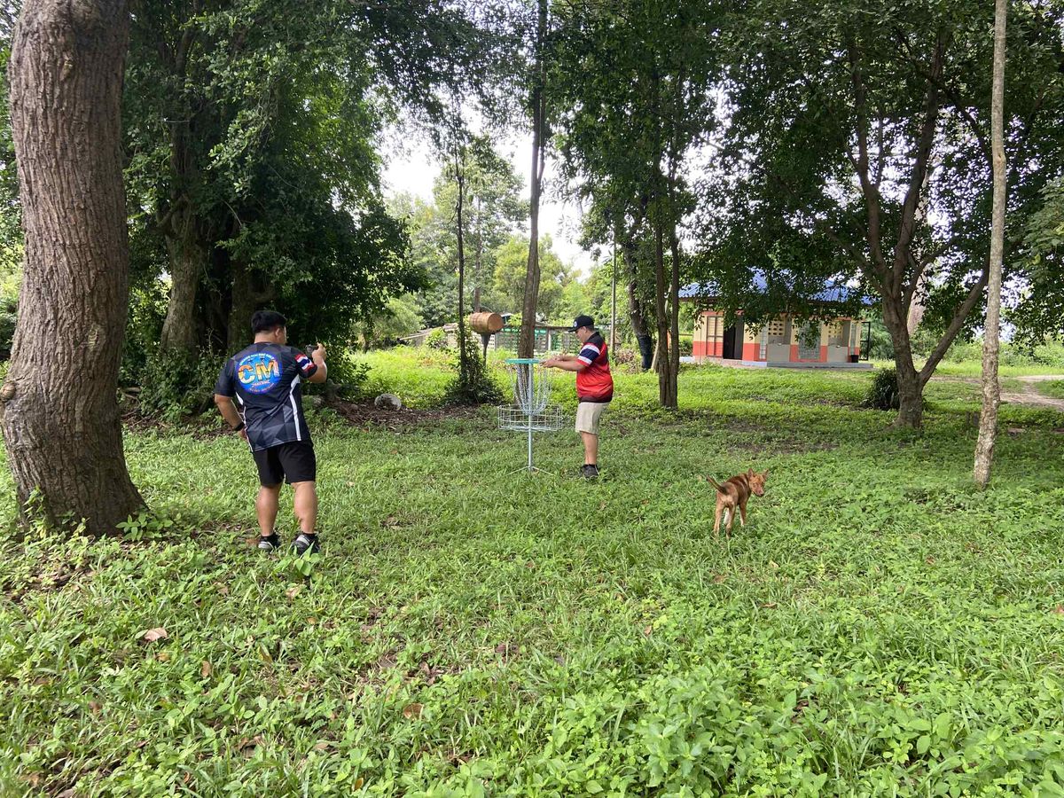 Setting hole 4 basket