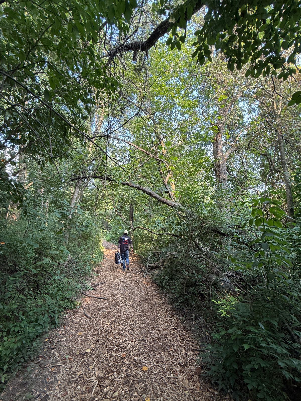 Hole #3’s path to the basket