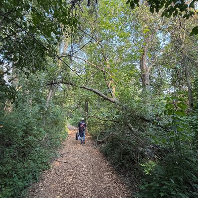 Hole #3’s path to the basket