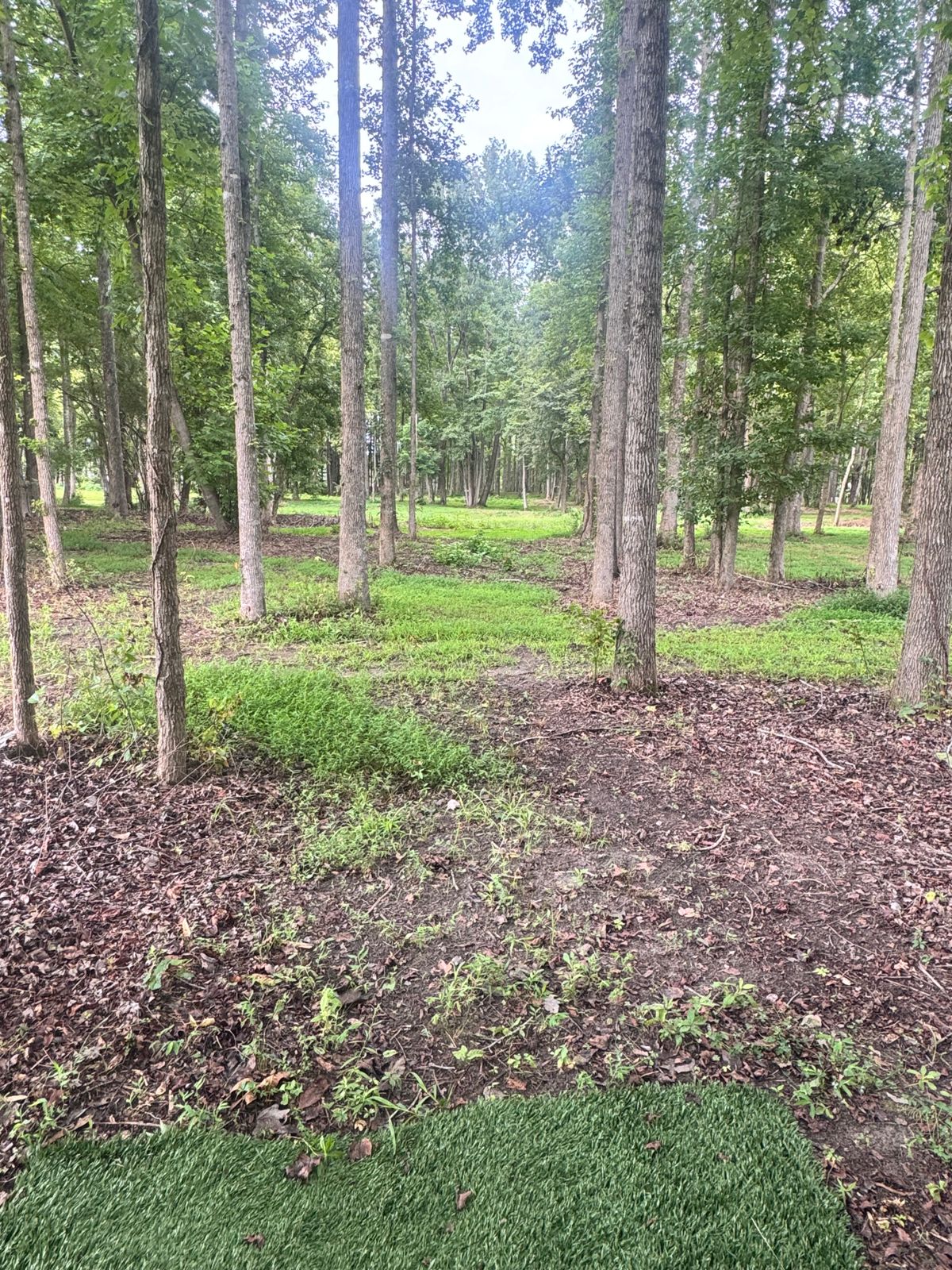 Hole 16A pad