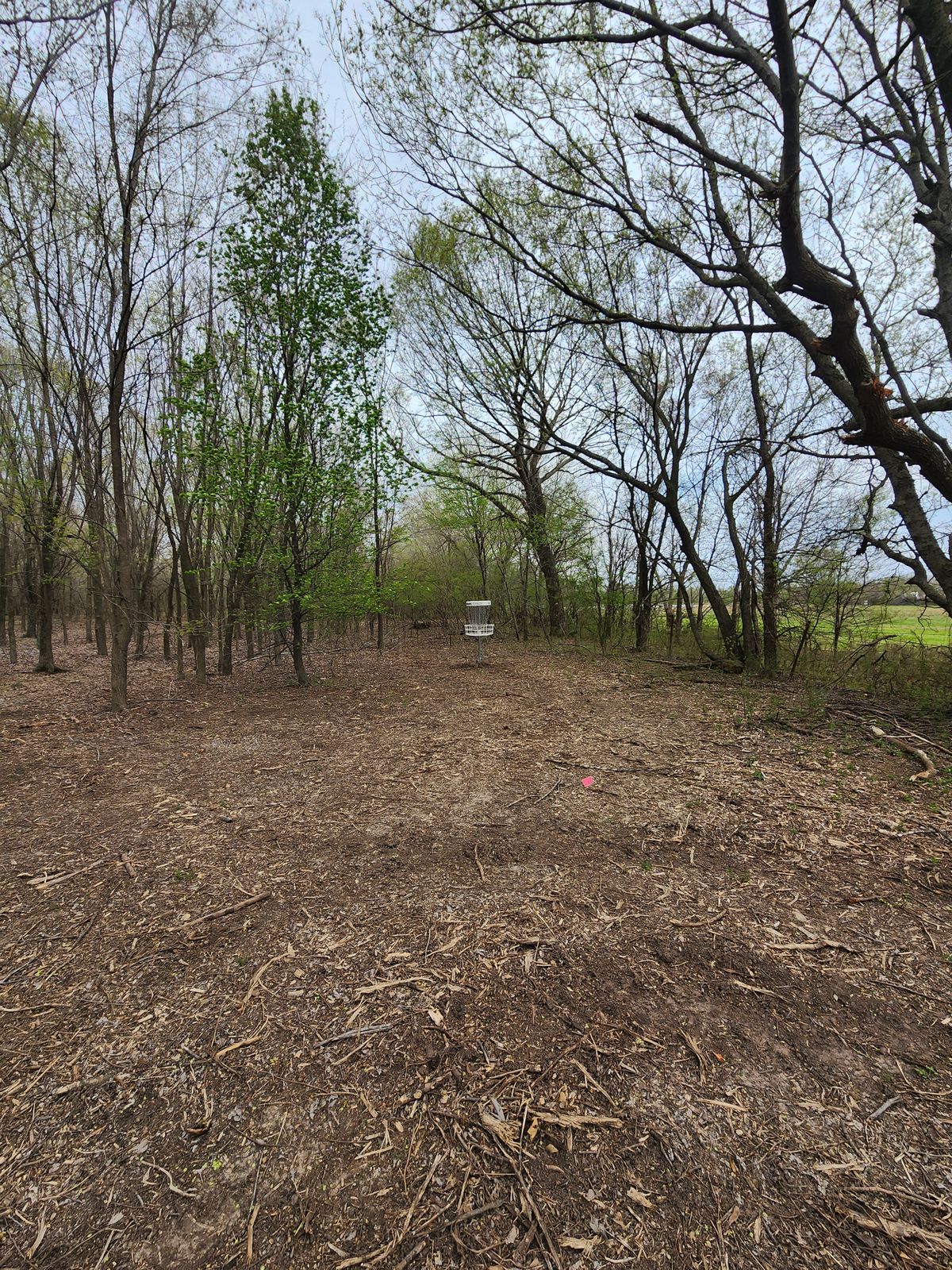 Hole 12 basket