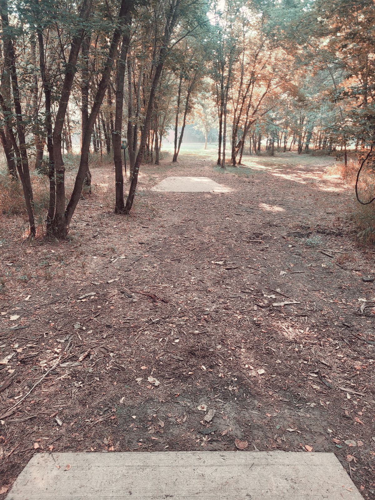 Staring down the gap!
Hole 15 Blue Tee