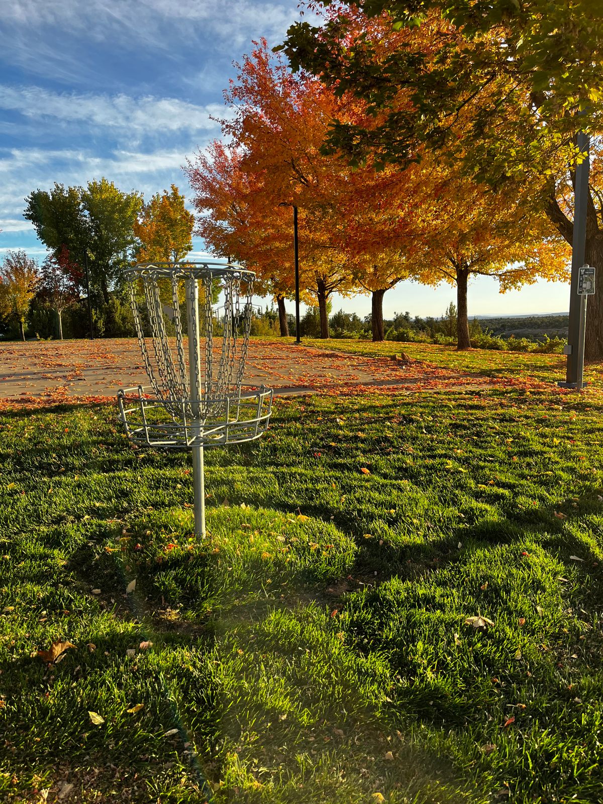 Basket of hole 8!