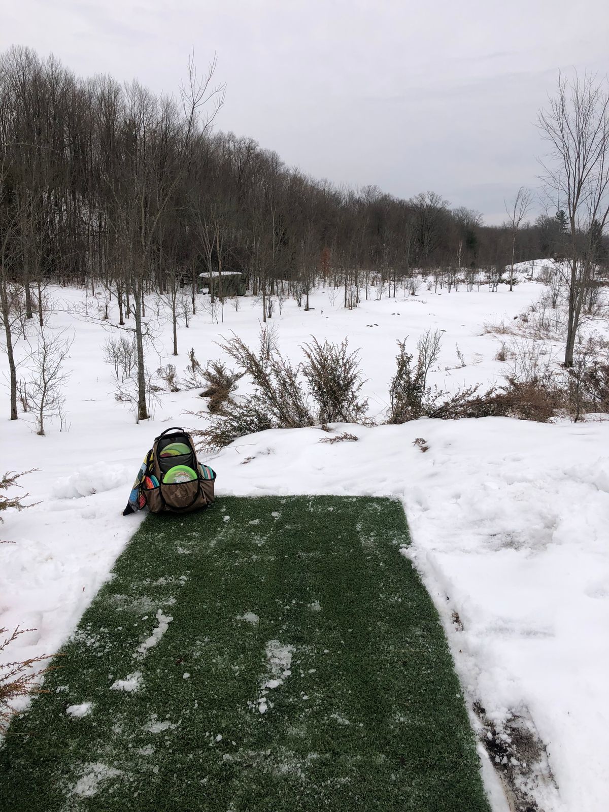 Hole 3A red tee/ hole 3 white tee